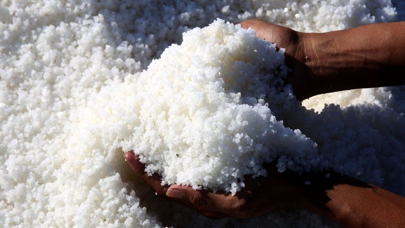 Terpengaruh Impor, Petani Keluhkan Harga Garam Turun Tajam  - Bagian 9