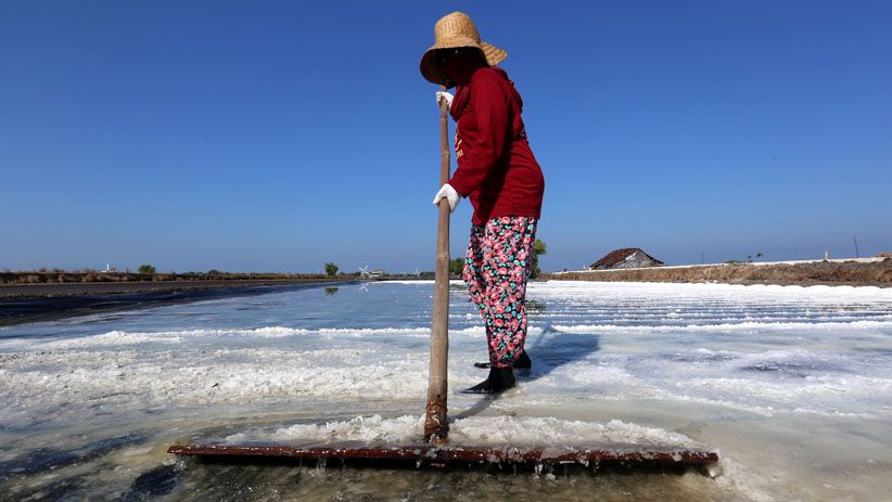 Terpengaruh Impor, Petani Keluhkan Harga Garam Turun Tajam  - Bagian 7