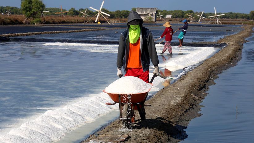 Terpengaruh Impor, Petani Keluhkan Harga Garam Turun Tajam  - Bagian 4