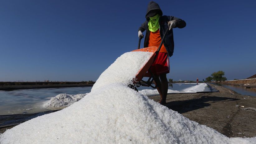 Terpengaruh Impor, Petani Keluhkan Harga Garam Turun Tajam  - Bagian 3