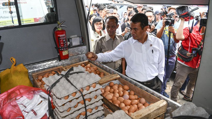 Kementerian Pertanian Jual 100 Ton Telur Ayam Rp19.500 per Kg - Bagian 1