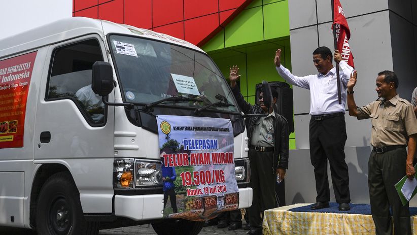 Kementerian Pertanian Jual 100 Ton Telur Ayam Rp19.500 per Kg - Bagian 2