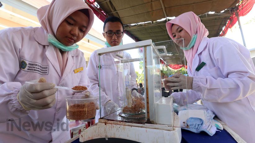 Mahasiswa UM Surabaya Ciptakan Popok Bayi Berbahan Sabut Kelapa - Bagian 4