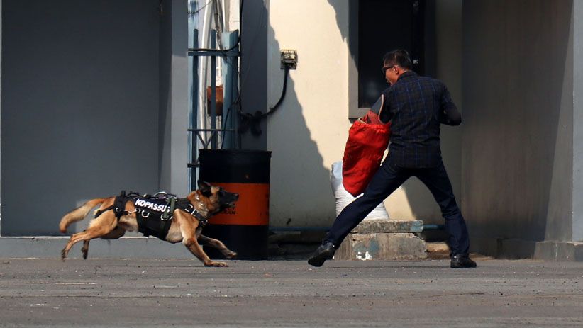 Panglima TNI Tutup Latihan Mitigasi Aksi Terorisme - Bagian 2