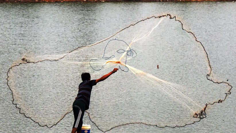 Rawa-Rawa Jadi Perumahan, Habitat Ikan Air Tawar Berkurang  - Bagian 3