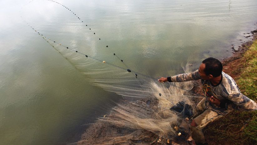 Rawa-Rawa Jadi Perumahan, Habitat Ikan Air Tawar Berkurang  - Bagian 4