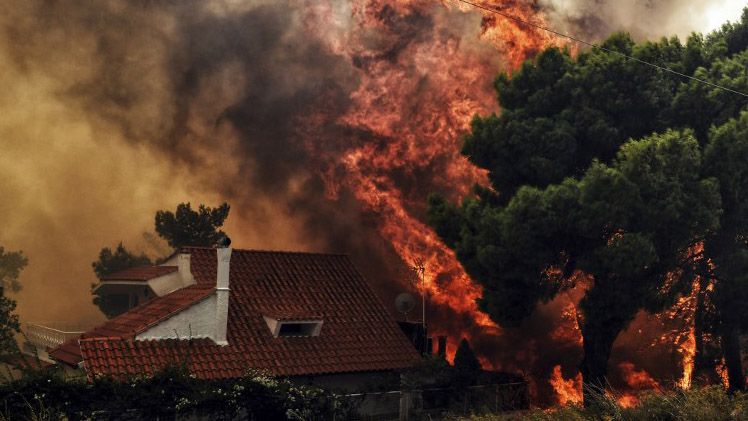 Foto-Foto Kebakaran Hutan di Yunani, 74 Orang Tewas  - Bagian 5