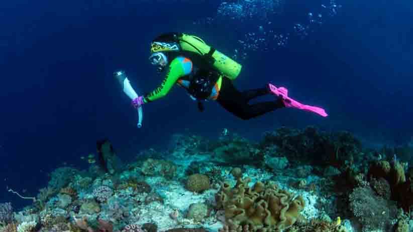 Wanita Selam Indonesia Bawa Api Obor Asian Games di Perairan Raja Ampat - Bagian 4