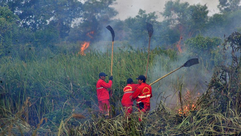 Upaya Pemadaman Kebakaran Lahan di Ogan Ilir Terkendala Pasokan Air - Bagian 1