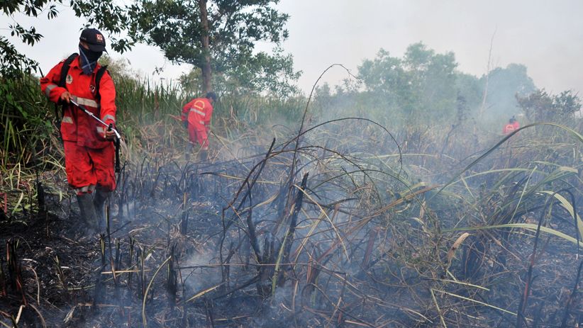 Upaya Pemadaman Kebakaran Lahan di Ogan Ilir Terkendala Pasokan Air - Bagian 3