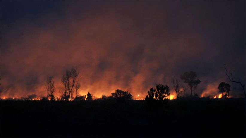 Upaya Pemadaman Kebakaran Lahan di Ogan Ilir Terkendala Pasokan Air - Bagian 2