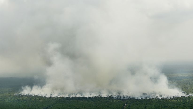 Kebakaran Lahan di Muara Medak, Asap Putih Membubung Tinggi - Bagian 1