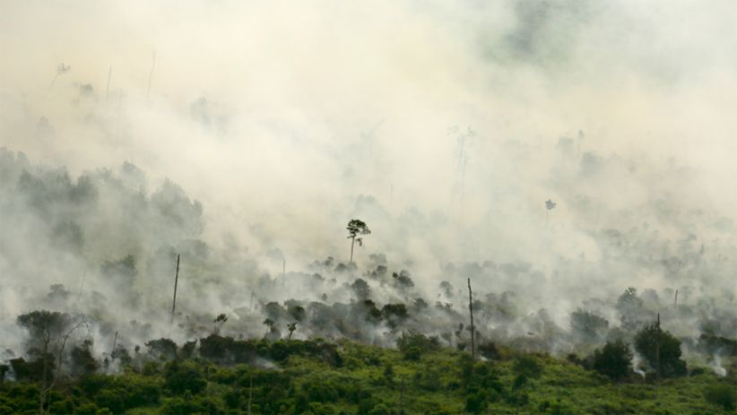 Kebakaran Lahan di Muara Medak, Asap Putih Membubung Tinggi - Bagian 2