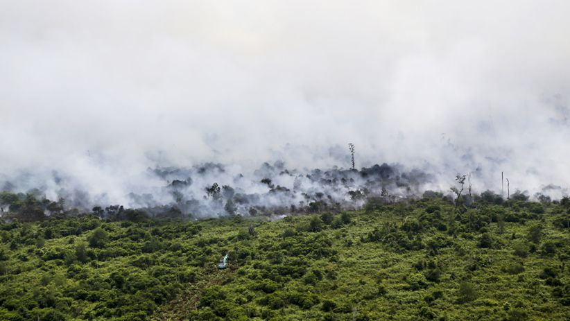 Kebakaran Lahan di Muara Medak, Asap Putih Membubung Tinggi - Bagian 3