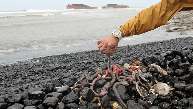 Kapal Tongkang Terbelah 2 Dihantam Ombak, Batu Bara Tumpah ke Pantai - Bagian 2