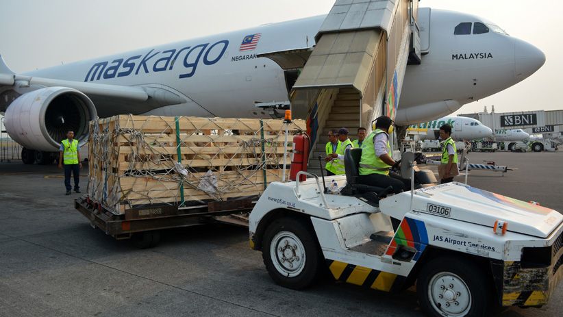 Pemerintah Ekspor 5.000 Ekor Domba ke Malaysia Setiap Bulan - Bagian 1