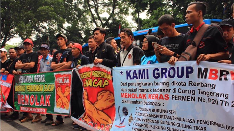 Ada Permen LHK 20, Ribuan Penangkar Burung Kicau Terancam Kehilangan Pekerjaan - Bagian 3