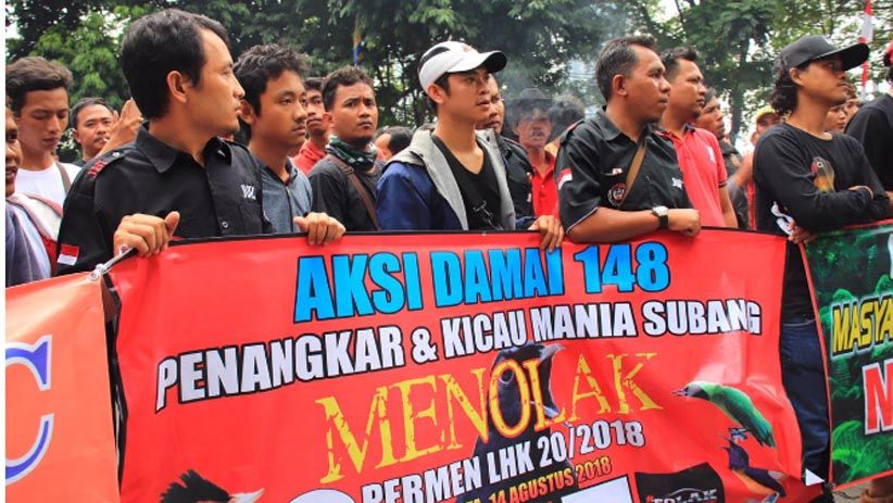 Ada Permen LHK 20, Ribuan Penangkar Burung Kicau Terancam Kehilangan Pekerjaan - Bagian 2