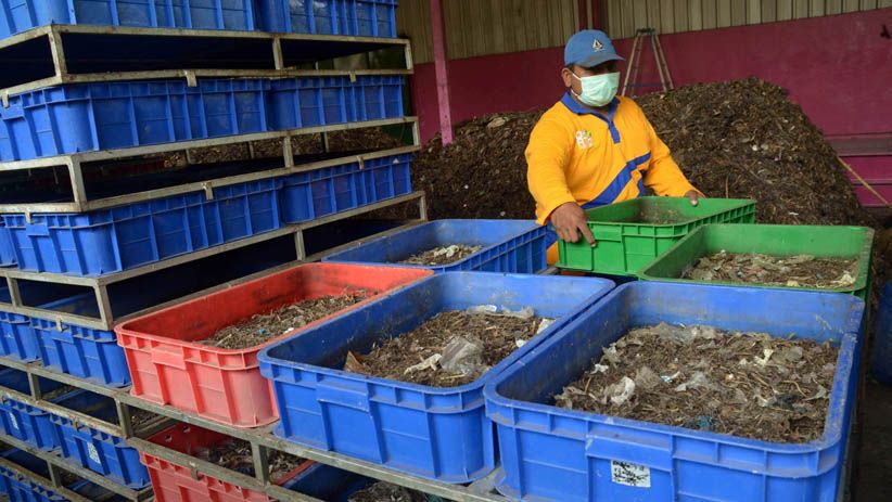 Surabaya Gunakan Teknologi Ulat  untuk Pengolahan Sampah  