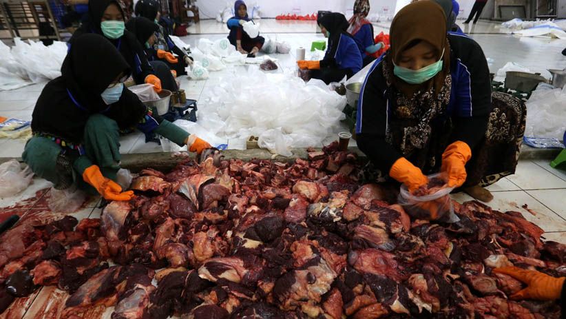 Cegah Penyakit Berbahaya, Tim Kedokteran Surabaya Periksa Daging Hewan Kurban  - Bagian 1