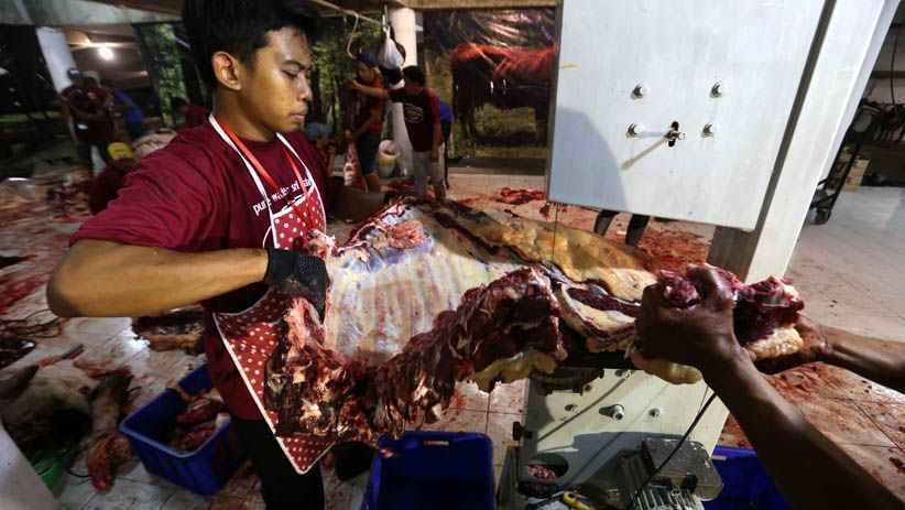 Cegah Penyakit Berbahaya, Tim Kedokteran Surabaya Periksa Daging Hewan Kurban  - Bagian 5