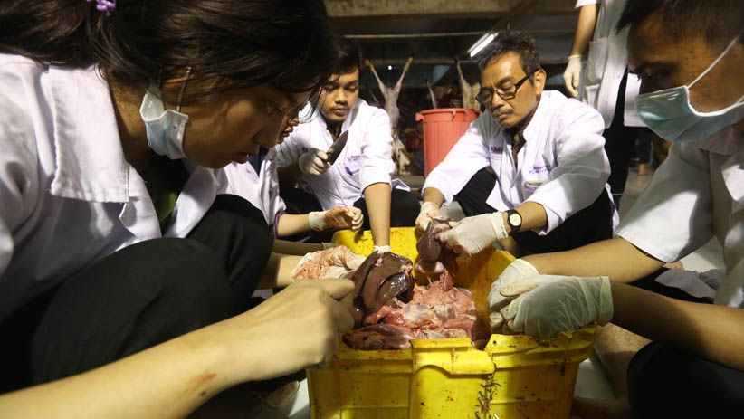 Cegah Penyakit Berbahaya, Tim Kedokteran Surabaya Periksa Daging Hewan Kurban  - Bagian 6