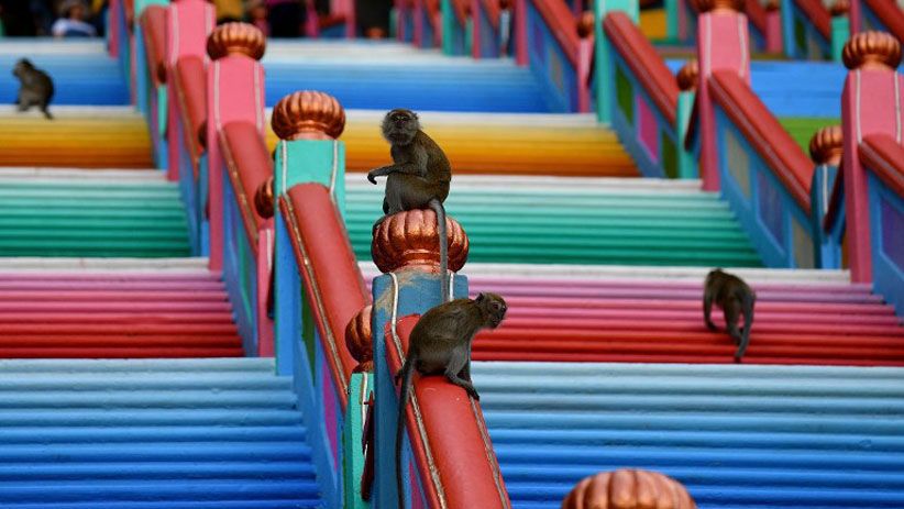 Indahnya Warna-Warni Kuil Batu Caves yang Instagramable - Bagian 4