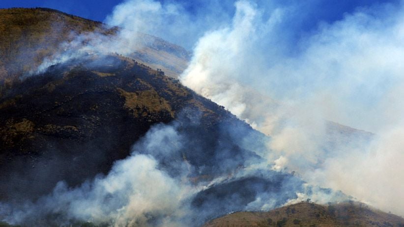 Kebakaran Hutan Gunung Sindoro Semakin Meluas - Bagian 2