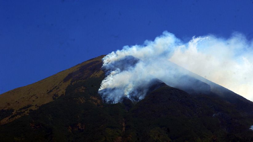 Kebakaran Hutan Gunung Sindoro Semakin Meluas - Bagian 1