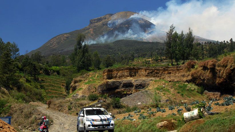 6 Fakta Menarik Gunung Sindoro, Ada Hamparan Bunga Edelweiss hingga Telaga Ajaib di Puncak