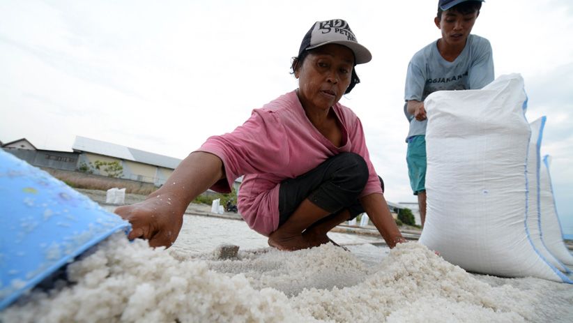 Petani Keluhkan Harga Garam Turun Drastis di Palu - Bagian 1