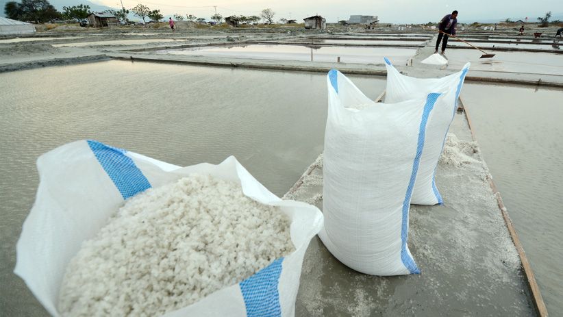 Petani Keluhkan Harga Garam Turun Drastis di Palu - Bagian 2