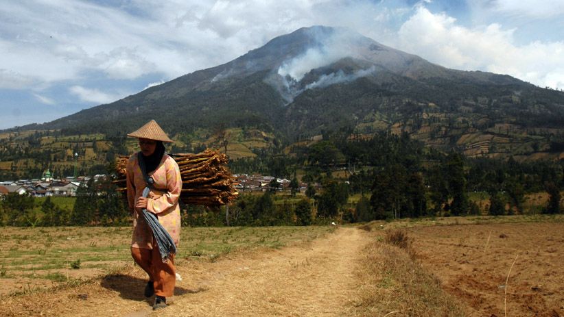 Kebakaran Hutan Gunung Sumbing Semakin Meluas - Bagian 1