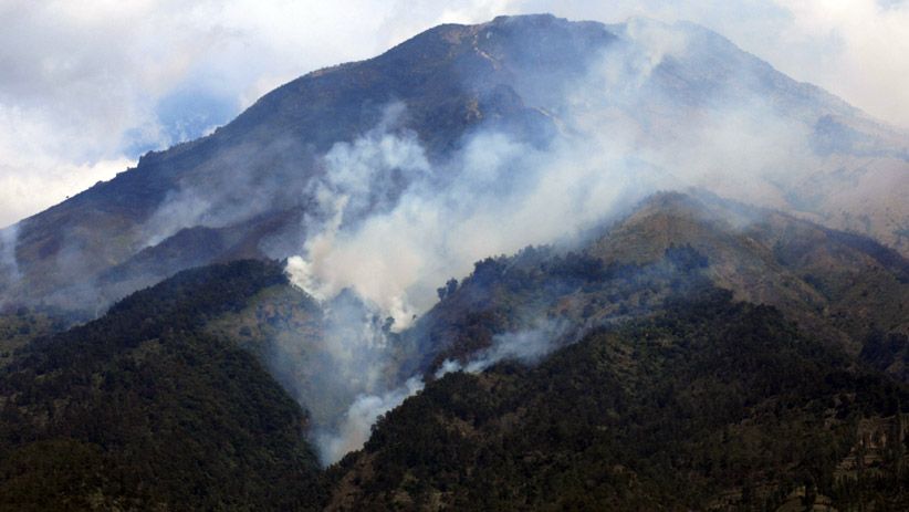 Kebakaran Hutan Gunung Sumbing Semakin Meluas - Bagian 3