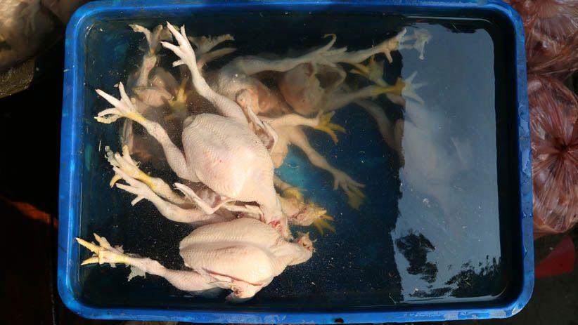 Kemendag Ubah Peraturan Harga Acuan Ayam dan Telur - Bagian 2