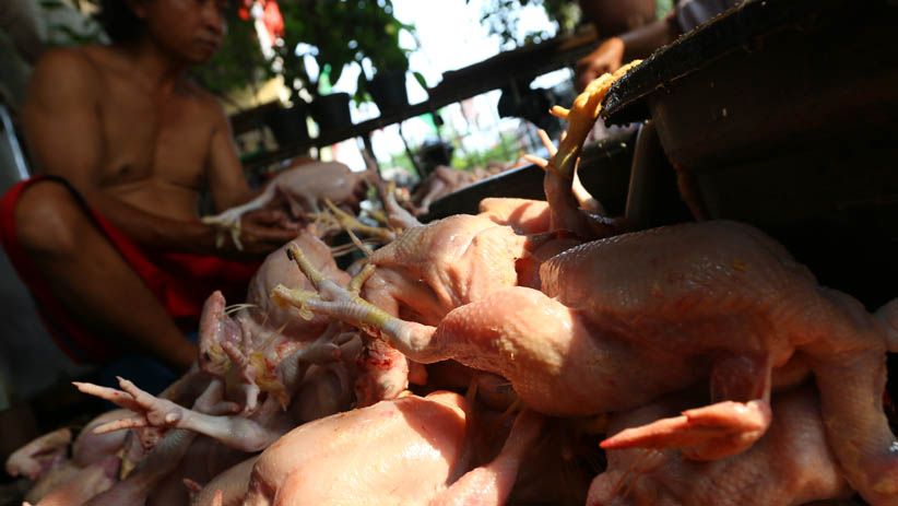 Kemendag Ubah Peraturan Harga Acuan Ayam dan Telur - Bagian 3