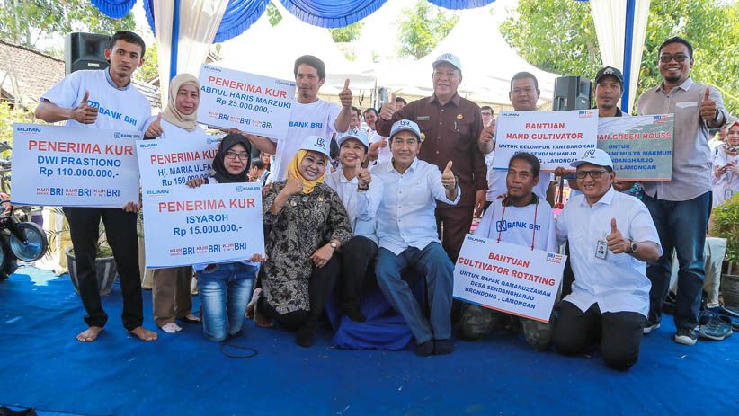 Menteri BUMN dan Dirut BRI Panen Buah Melon di Lamongan - Bagian 4