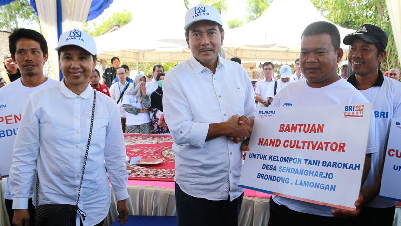 Menteri BUMN dan Dirut BRI Panen Buah Melon di Lamongan - Bagian 5