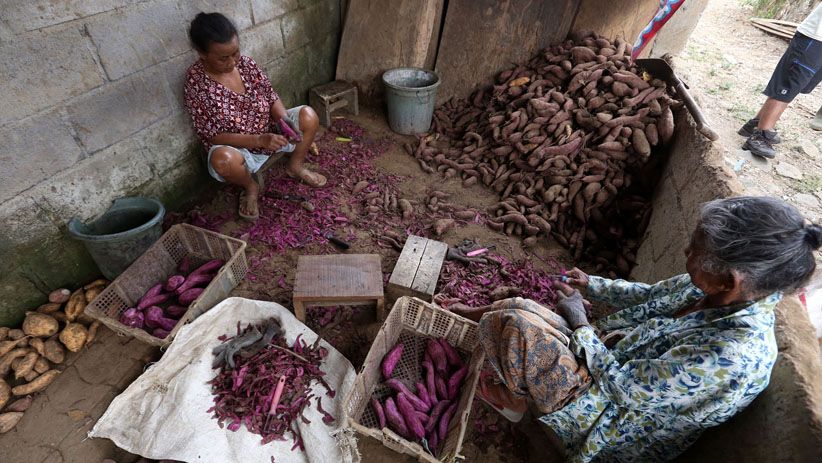 Manisnya Keripik Telo Ungu Khas Trawas Mojokerto