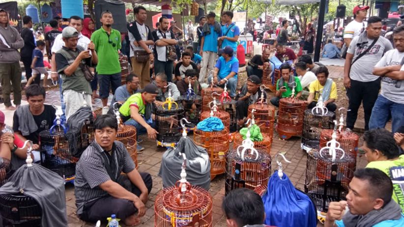 Ribuan Kicau Mania se-Indonesia Ramaikan Presiden Cup V - Bagian 1