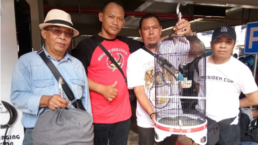 Ribuan Kicau Mania se-Indonesia Ramaikan Presiden Cup V - Bagian 3