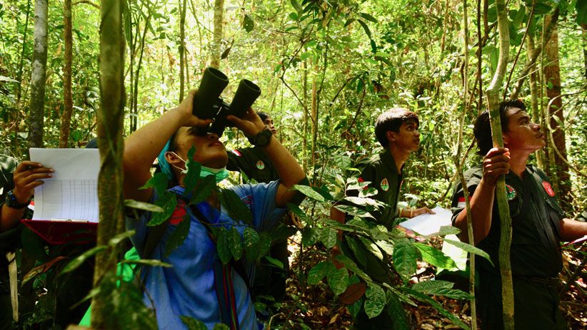 Momen Pelepasan Orangutan ke Alam Liar di Hutan Kalimantan Timur - Bagian 5
