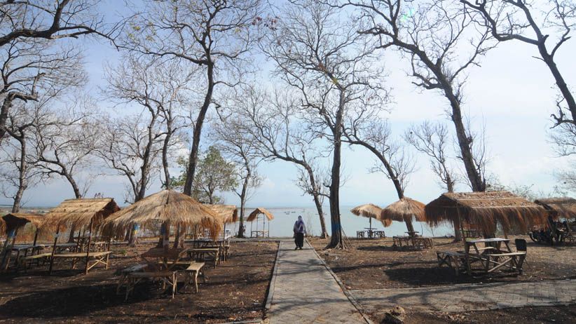 Tol Jembatan Suramadu Gratis, Jumlah Wisatawan ke Madura Meningkat - Bagian 2