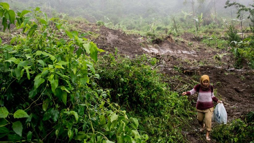 Tanah Longsor di Kabupaten Sukabumi, Akses Jalan Putus - Bagian 2