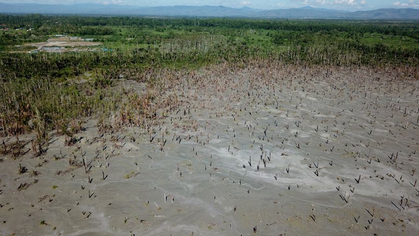 40 Hektare Kebun Sagu Rusak akibat Tambang Emas Ilegal di Pulau Buru