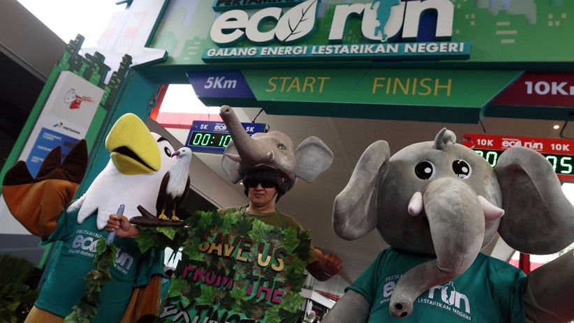 Pertamina Eco Run Dukung Pelestarian Gajah dan Elang Bondol - Bagian 2