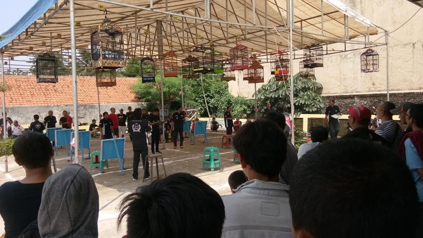 Kicau Mania Rebutkan 2 Unit Sepeda Motor di Lomba 11 Tahun BnR - Bagian 1