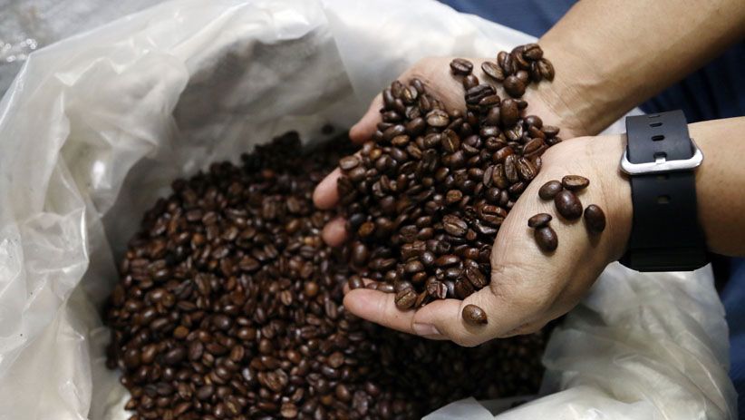 Indonesia Eksportir Kopi Terbesar di Dunia - Bagian 5