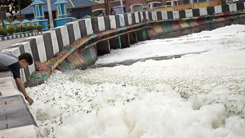 Muncul Busa Tebal Berbintik, Begini Penampakan Kali Item - Bagian 2