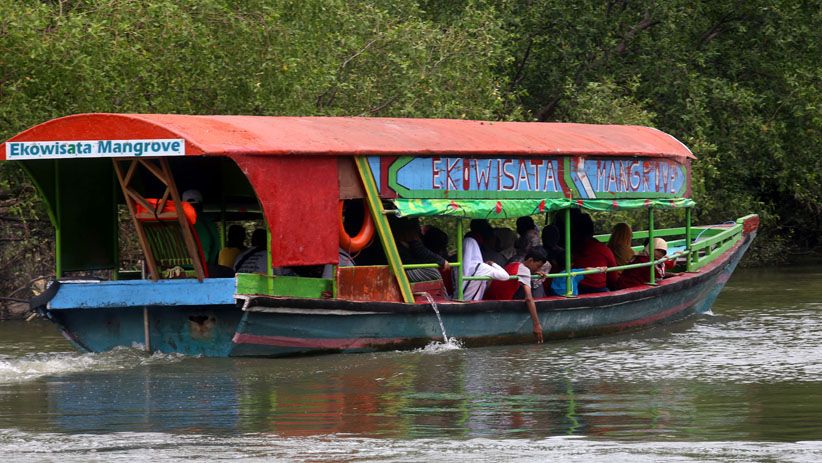 Libur Tahun Baru, Hutan Mangrove Wonorejo Dipenuhi Pengunjung